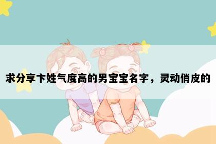 求分享卞姓气度高的男宝宝名字，灵动俏皮的