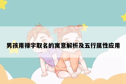 男孩用禄字取名的寓意解析及五行属性应用