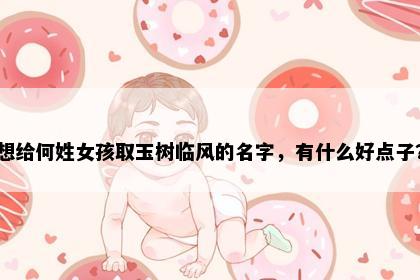 想给何姓女孩取玉树临风的名字，有什么好点子？
