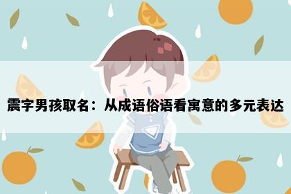 震字男孩取名：从成语俗语看寓意的多元表达