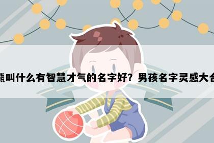 姓熊叫什么有智慧才气的名字好？男孩名字灵感大合集