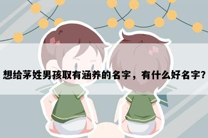 想给茅姓男孩取有涵养的名字，有什么好名字？
