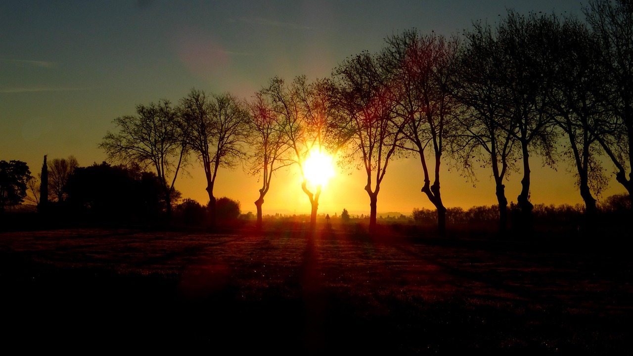 北京西城一人初筛阳性北京西城出现1例新冠肺炎确诊病例 🎉 北京西城一人初筛阳性北京西城出现1例新冠肺炎确诊病例 🎉