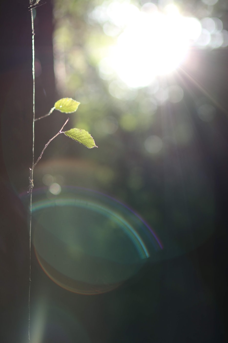 ➿ 成都限行时间新规2020年7月20日成都限行时间和范围2020