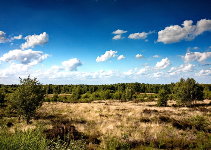 ↕️ 今天新增新型冠状病毒多少例今天新增冠状肺炎多少例