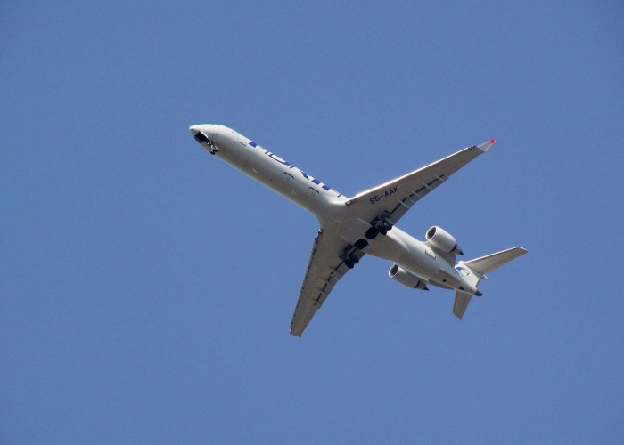 从首例到集体出院：疫情阴霾下的生命韧性，城市免疫系统的微光