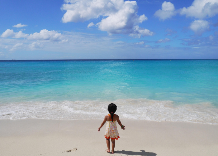 顺丰什么时候停运,快递顺丰什么时候停运 顺丰什么时候停运,快递顺丰什么时候停运