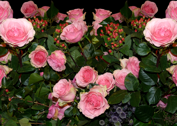 甘肃新增12例本土,甘肃新增本土确诊3例 甘肃新增12例本土,甘肃新增本土确诊3例