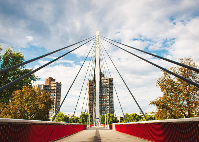 四日两万例：平凡个体的沉默坚守与一座国家的免疫天平