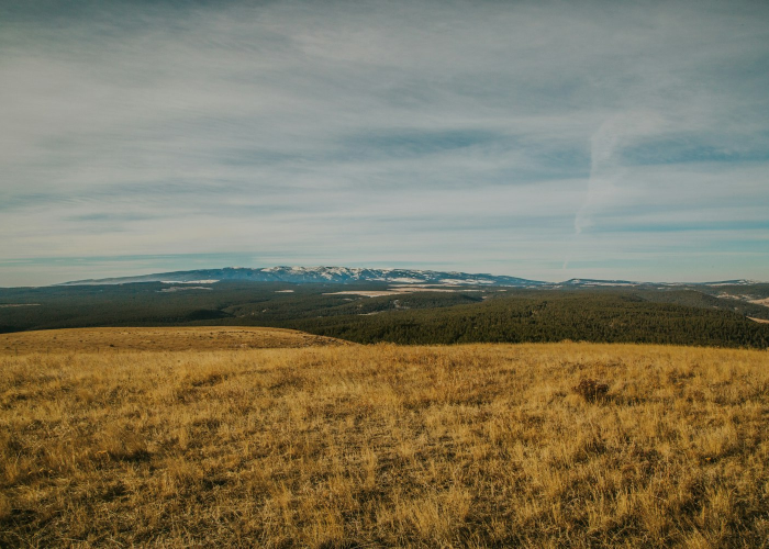 一人与一座城的十四天，西青区龙津园窗口透出的微光，疫情是张突然收紧的网