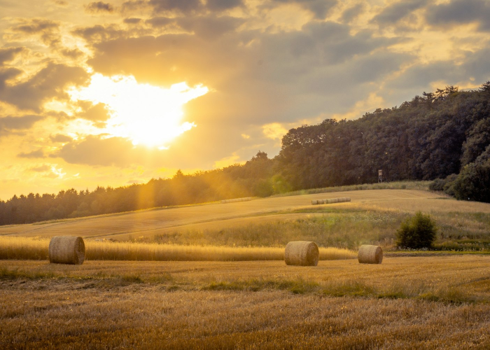 嘉美包装：“嘉美转债”将于2月2日开市起复牌并恢复转股 ⬆️