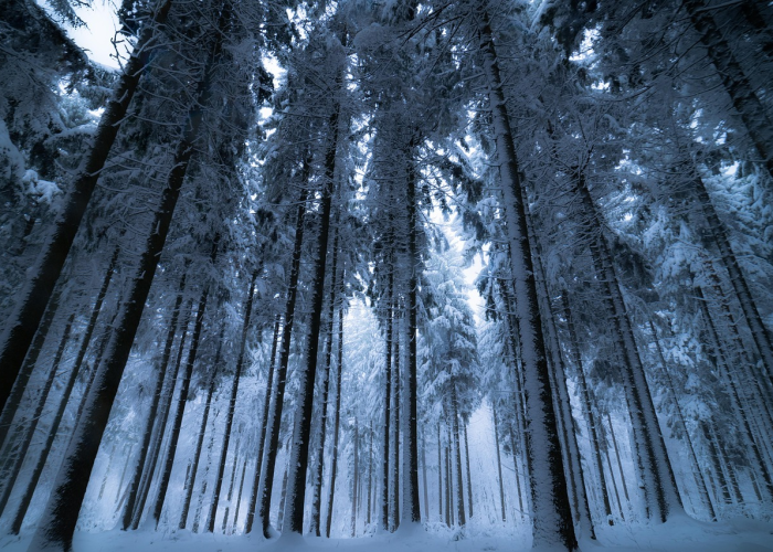 一例无声的渗透：从新疆到杭州的20天，一座城市的免疫系统被悄然激活