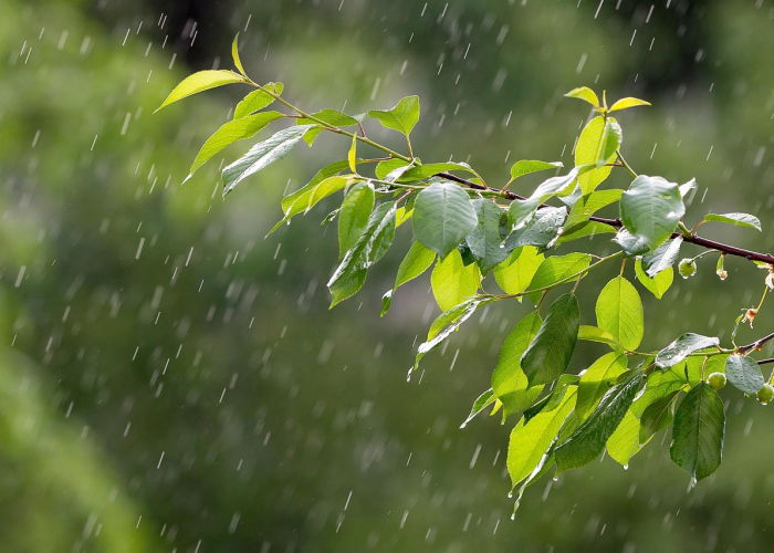 哈登争议球走步，哈登的步伐
