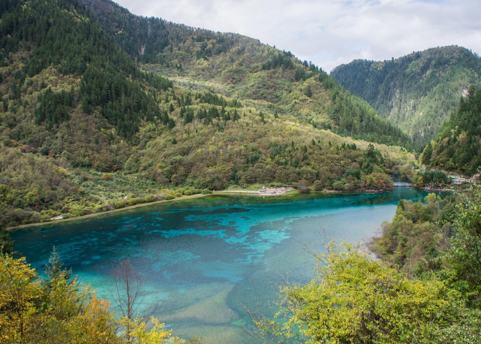 🕔 宁波多名感染者曾去同一地点宁波又出现一例患者 🕔 宁波多名感染者曾去同一地点宁波又出现一例患者