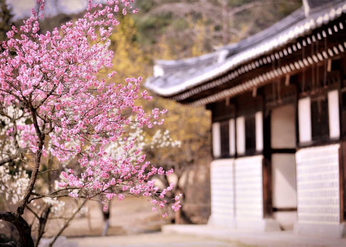 秋冬季消杀覆盖全城，看不见的防线筑起隐形长城