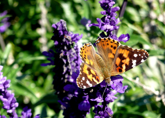 杭州4天确诊59人,杭州出现病例 杭州4天确诊59人,杭州出现病例