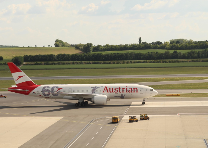 37例感染与一片茶园：蜱虫叮咬背后，一个省份的免疫网络被重新测试