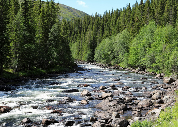 31省昨日增47例本土,31省区市昨日新增本土23例 31省昨日增47例本土,31省区市昨日新增本土23例