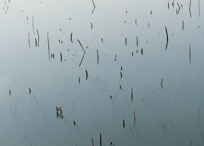 60例新增背后的生命刻度，中原大地的免疫系统正在被淬炼，一部公共卫生应急管理的活教材缓缓展开