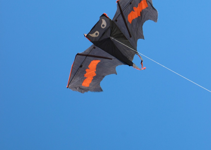 🕑 辽宁新增9例本土无症状辽宁新增9例确诊27例无症状