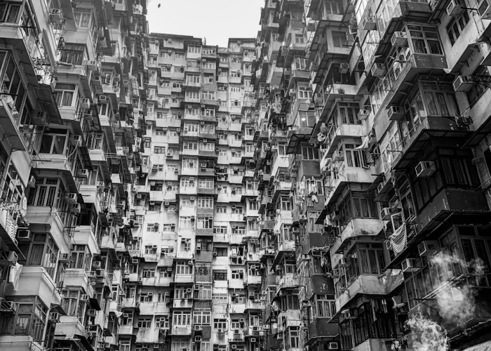 (洛克王国中怎么提升亲密度)，洛克王国在哪里增加亲密度