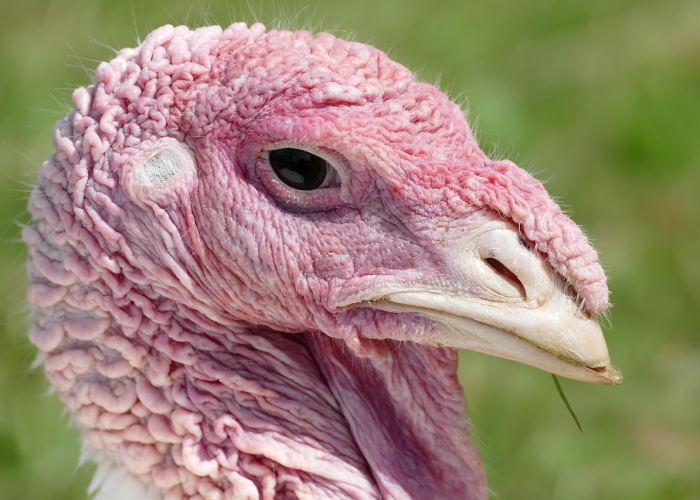 🔶 宝鸡市最新疫情宝鸡市最新疫情发布