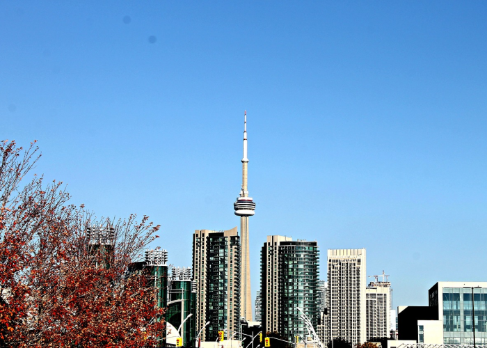 上海单日新增4502例的抗疫时刻，黄浦江的无声航船与人类韧性的试炼场