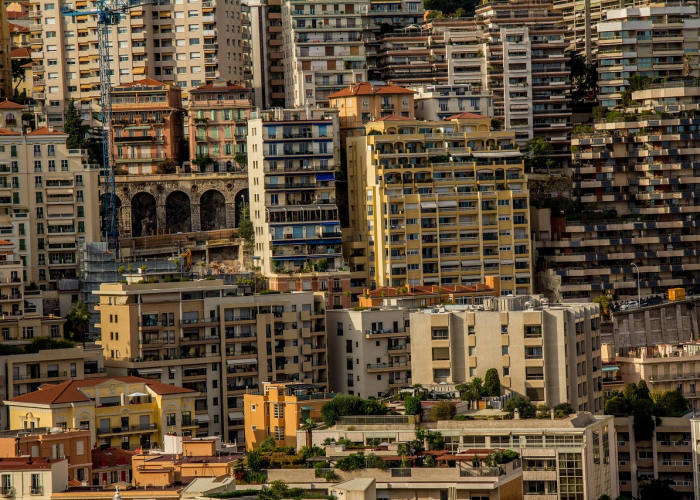 牛奶芋头的功效与作用，牛奶芋头的功效与作用及营养价值