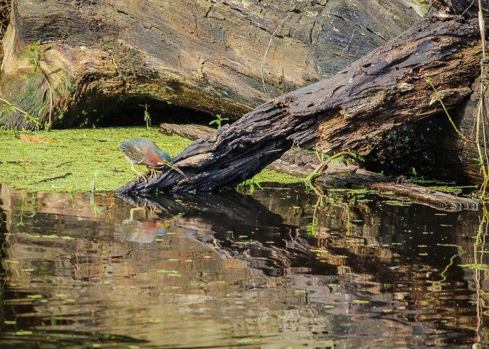 北京进入聚集场所须接种疫苗,北京对人员聚集的要求 北京进入聚集场所须接种疫苗,北京对人员聚集的要求