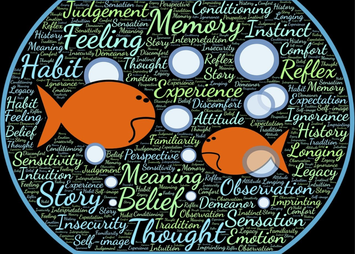 【第一届华人星光大道,华人星光大道第二季冠军】 【第一届华人星光大道,华人星光大道第二季冠军】