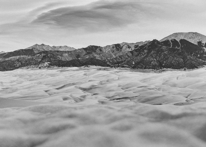 25例无声的警示：山东疫情下的生命网格与韧性微光