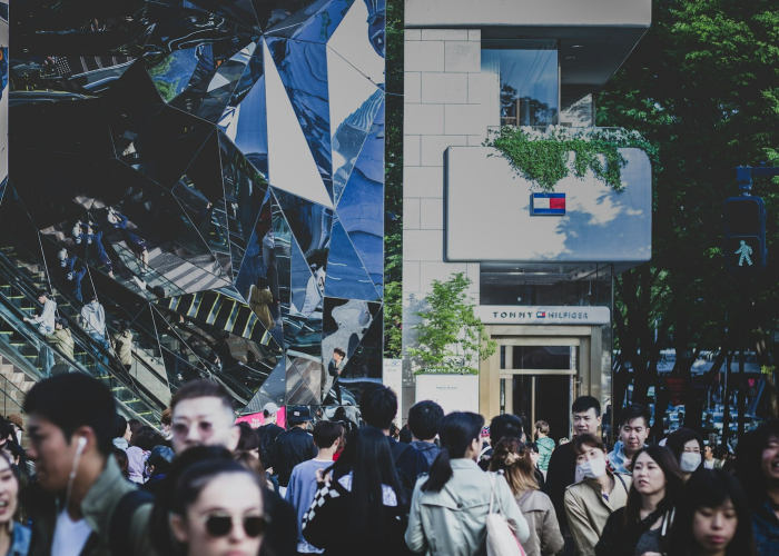 (ipad游戏下载免费)，ipad免费游戏软件