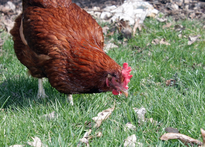 关于国家卫健委“九不准”的信息 关于国家卫健委“九不准”的信息