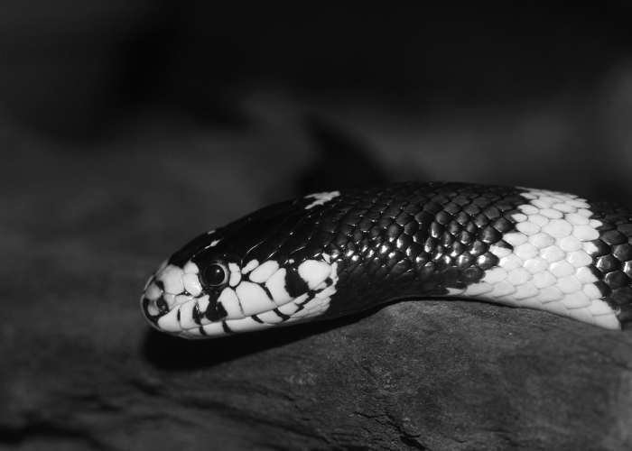 华为手机忘记解锁图案怎么解，华为手机锁屏密码忘了怎么解开图案