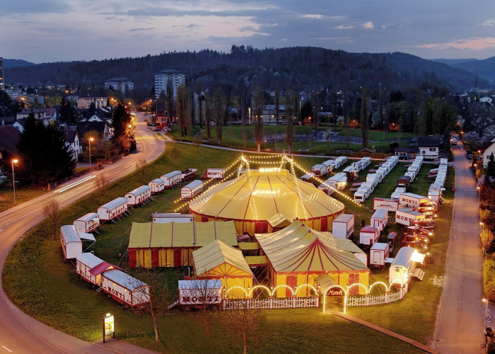 2月预测中的307例轨迹:家庭温度与城市免疫系统的静默对话 2月预测中的307例轨迹:家庭温度与城市免疫系统的静默对话