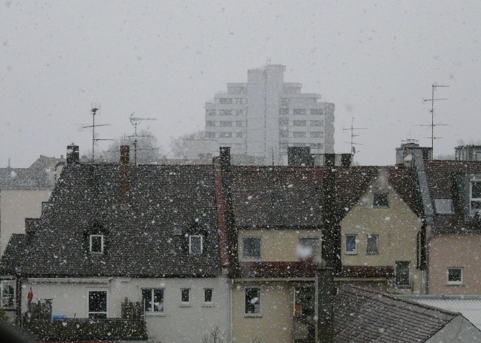 【吨组词,吨组词四字】