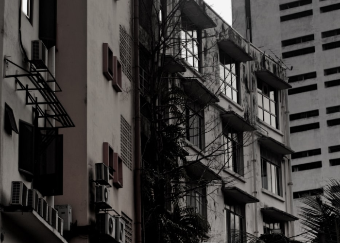 什么是二向箔，二向箔有科学依据吗