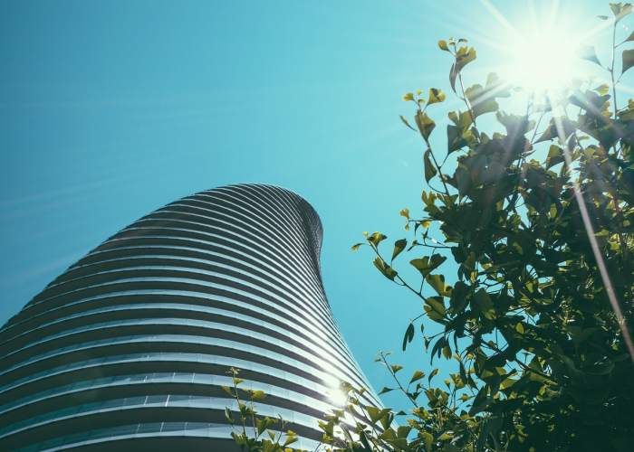 🌀 美国近5天死亡人数最新美国近5天死亡人数最新数据