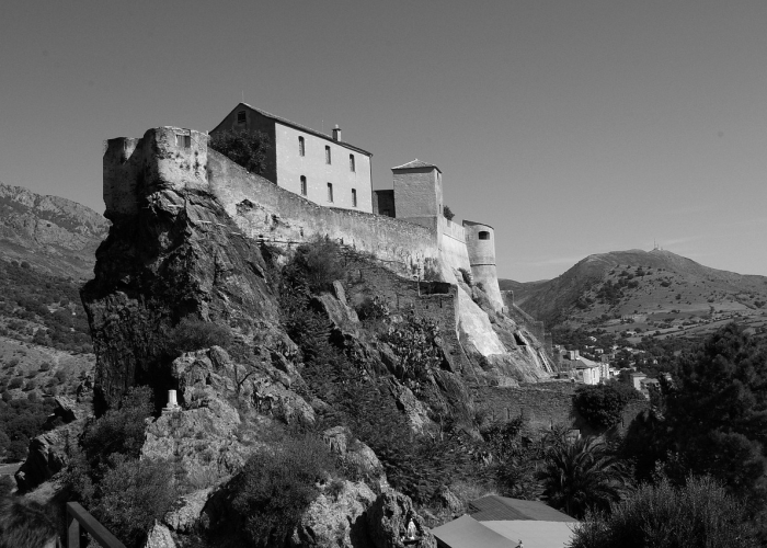 14天13工的生命刻度:疫情流调中的孤独打工史诗,与一座城市的免疫应答 14天13工的生命刻度:疫情流调中的孤独打工史诗,与一座城市的免疫应答