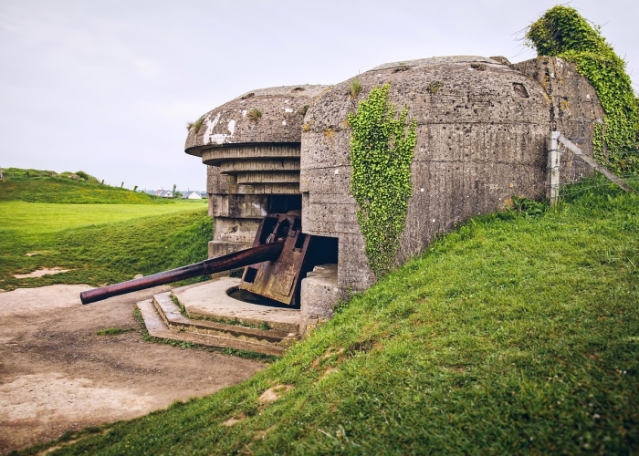 1500例新增背后的生命刻度：疫情洪流中，一座座城市的微观呼吸与宏观守护
