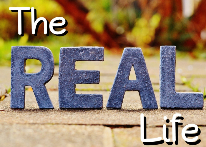 唐山限行新政：7_00-20_00工作日轮换背后的城市流动哲学，以交通管制绘就的都市呼吸节律图