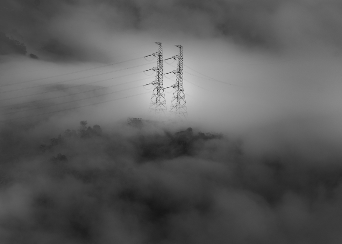 莱西累计治愈128人背后的生命航道：免疫长城下的微光