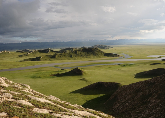 大连确诊2例新型冠状肺炎(大连2例新增确诊病例详情)