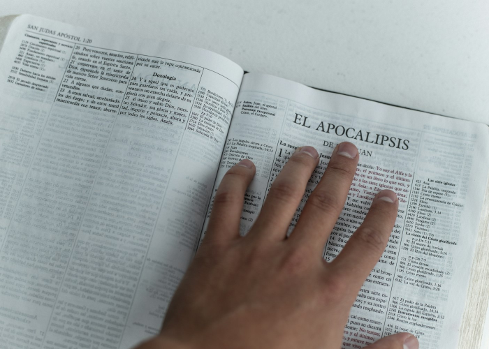 关于上海新增本土确诊17例的信息 🔥 关于上海新增本土确诊17例的信息 🔥