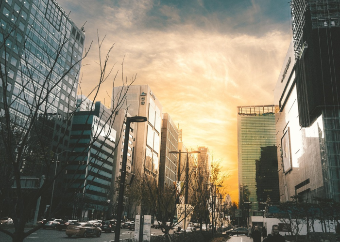 23例确诊背后的生命韧性与防控网络,微光成炬,如同黑夜中的应急灯 23例确诊背后的生命韧性与防控网络,微光成炬,如同黑夜中的应急灯