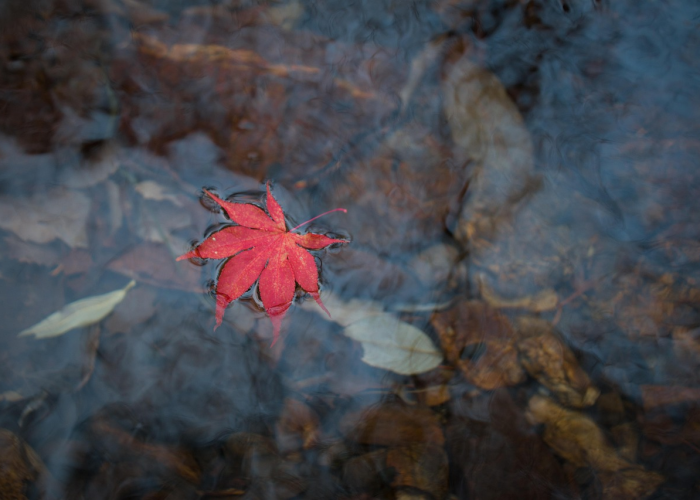 187例确诊背后的生命刻度：一座滨海城市的“暴风眼”七小时