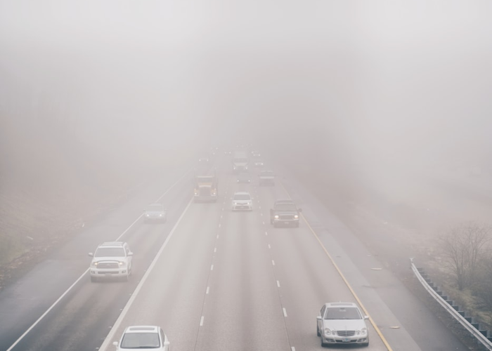 北京新增本土确诊4例,北京新增4例本地确诊行动轨迹 🎊