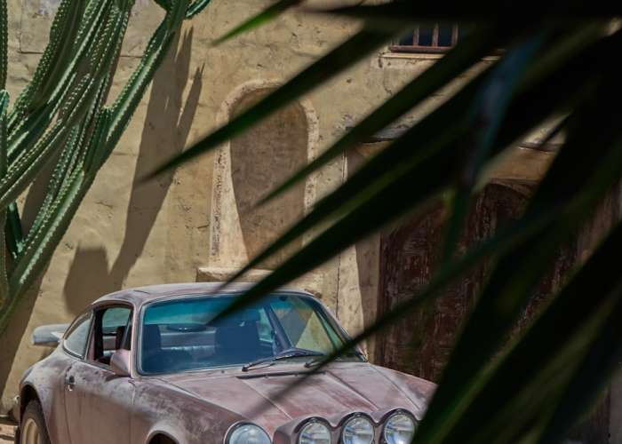 黑龙江新增本土6例,黑龙江新增本土7例详情报告