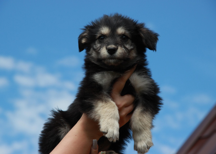 (水浒传里的济州是哪里)，水浒济州岛