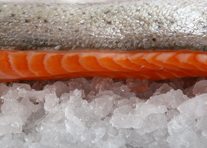 3869个逝去的生命：数字背后的记忆烙印与人类韧性之镜